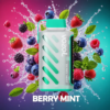 Vozol-Vape-Gear-Power-20000-Berry-Mint-1-2 Vozol Vape Gear Power 20000