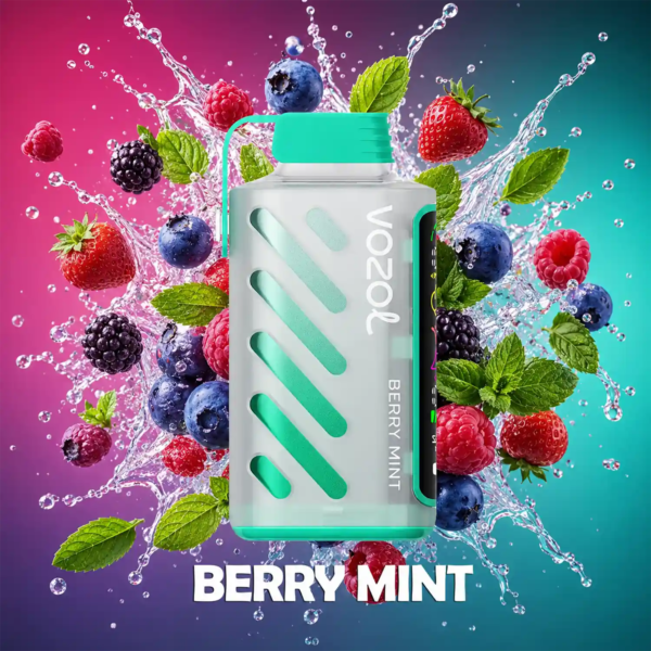 Vozol-Vape-Gear-Power-20000-Berry-Mint-1-2 Vozol Vape Gear Power 20000