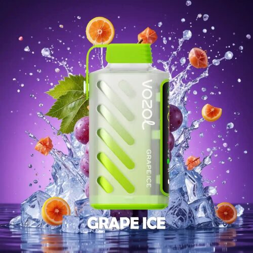 Vozol Gear Power 20000 - Grape Ice