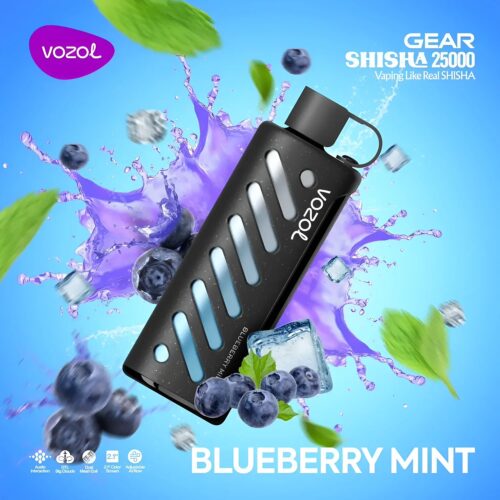 Vozol Vape Gear Shisha 25000 - Blueberry Mint